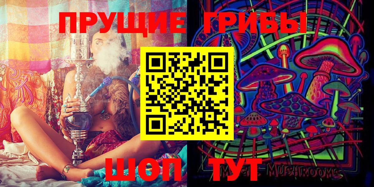 Галлюциногенные грибы Psilocybine cubensis Камень-на-Оби