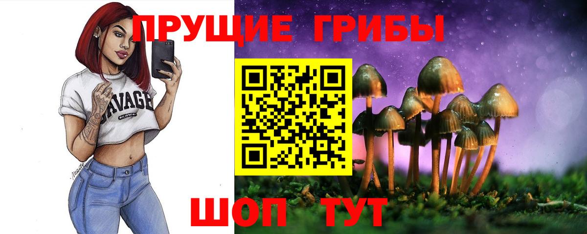 Псилоцибиновые грибы ЛСД  Вход с VPN  Камень-на-Оби 